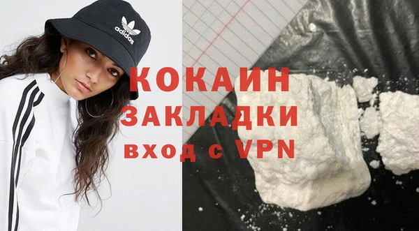 молекула духа Дмитриев
