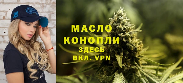 молекула духа Дмитриев