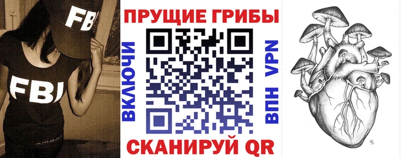 закладка  Сызрань  Псилоцибиновые грибы Psilocybine cubensis 