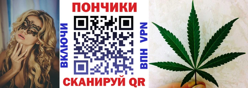 OMG   Сызрань  Каннабис гибрид 
